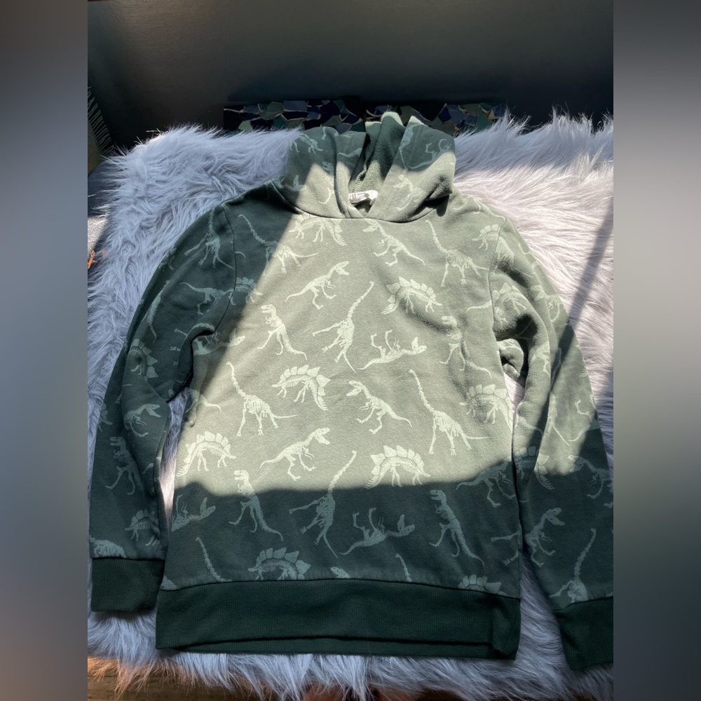 H & M Green Dinosaur Print Boy’s hoodie